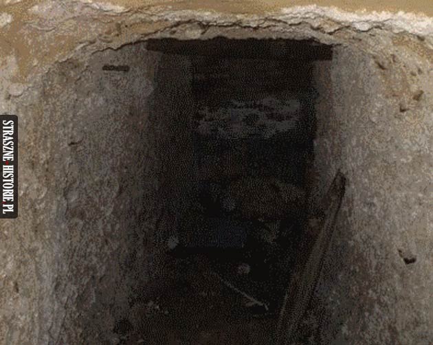 Dziadek skrywał mroczną tajemnicę. Co znajdowało się w bunkrze na jego działce?