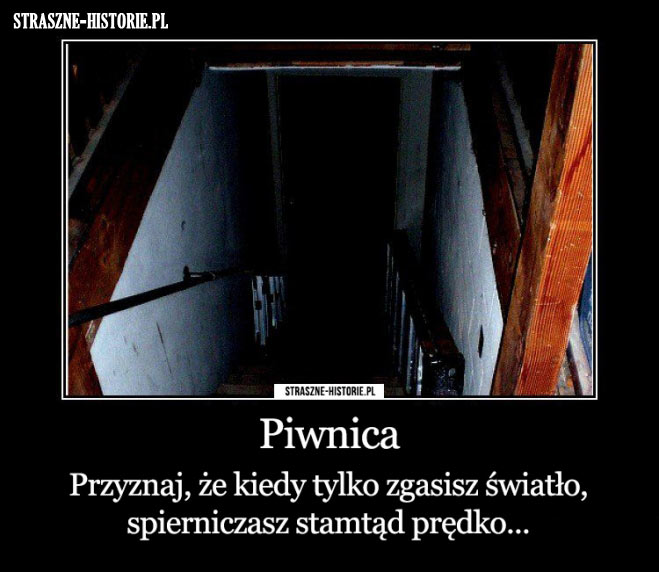 Piwnica...