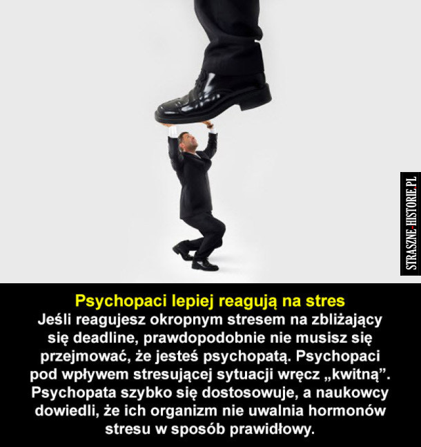 Dlaczego warto być psychopatą? 10 korzyści!