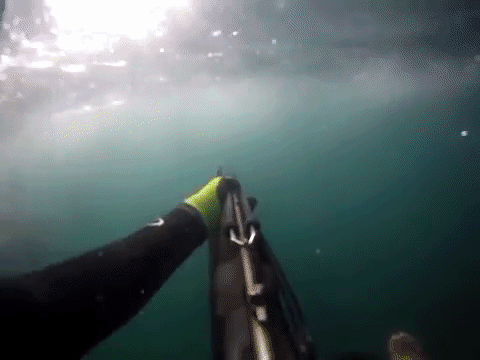 18 niezwykle mrocznych momentów, które sprawią, że zaczniesz bać się morza!