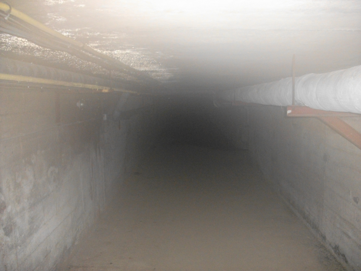 Tajemniczy podziemny kompleks odnaleziony we Francji. Do czego służył?!